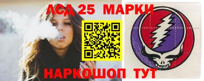 шишки Лесосибирск