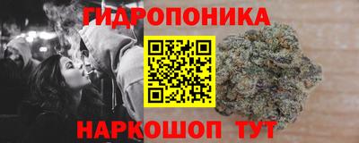 шишки Лесосибирск