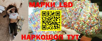 шишки Лесосибирск