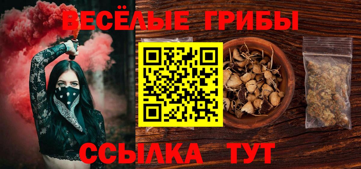 Галлюциногенные грибы GOLDEN TEACHER  Вход с VPN  Электросталь 